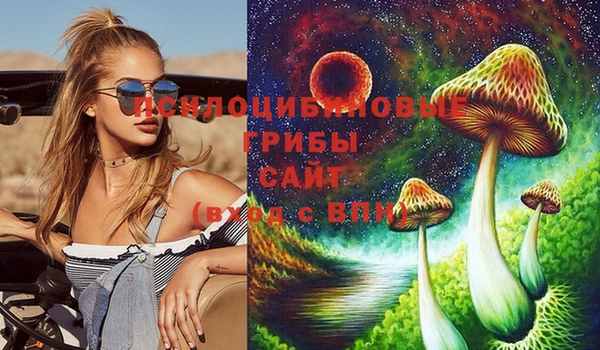 прущие крисы Магадан