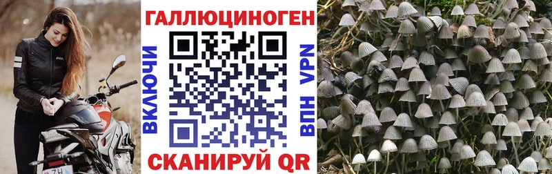 Галлюциногенные грибы мухоморы  Карабаш 